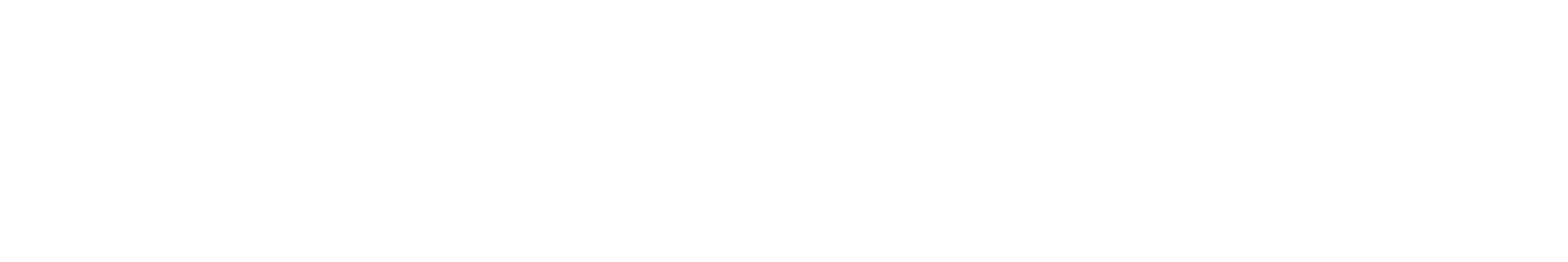 mini-CT-logo-white